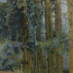 Jacquard Weaving, cotton, linen, dyes, private collection