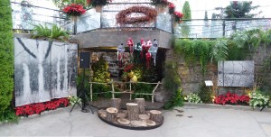 In the large greenhouse of the Montreal Botanical Garden